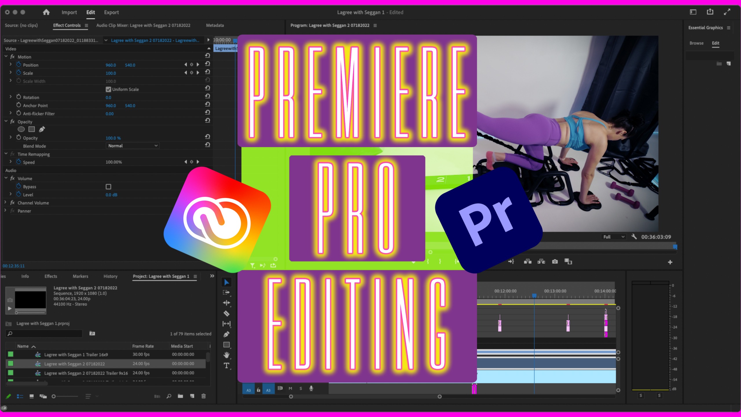 adobe certified professional in video design premiere pro and after effects